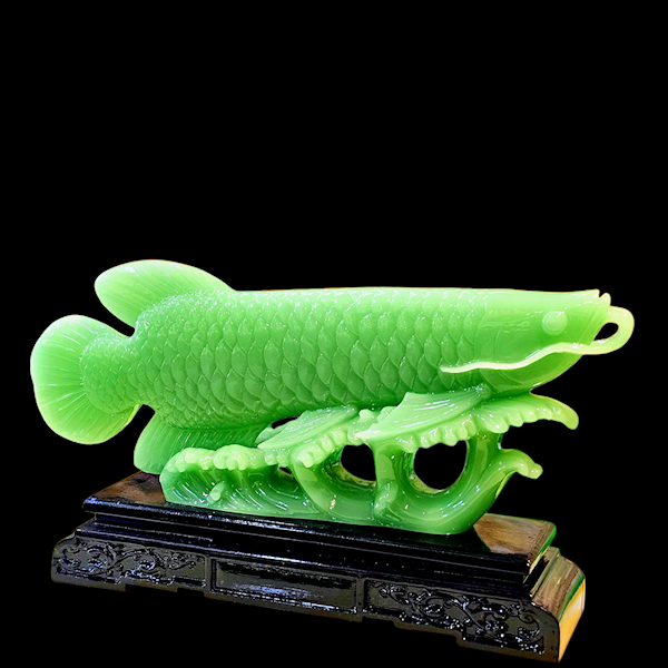 Cá Rồng Phong Thủy size nhỏ